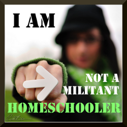 I am NOT a militant homeschooler.