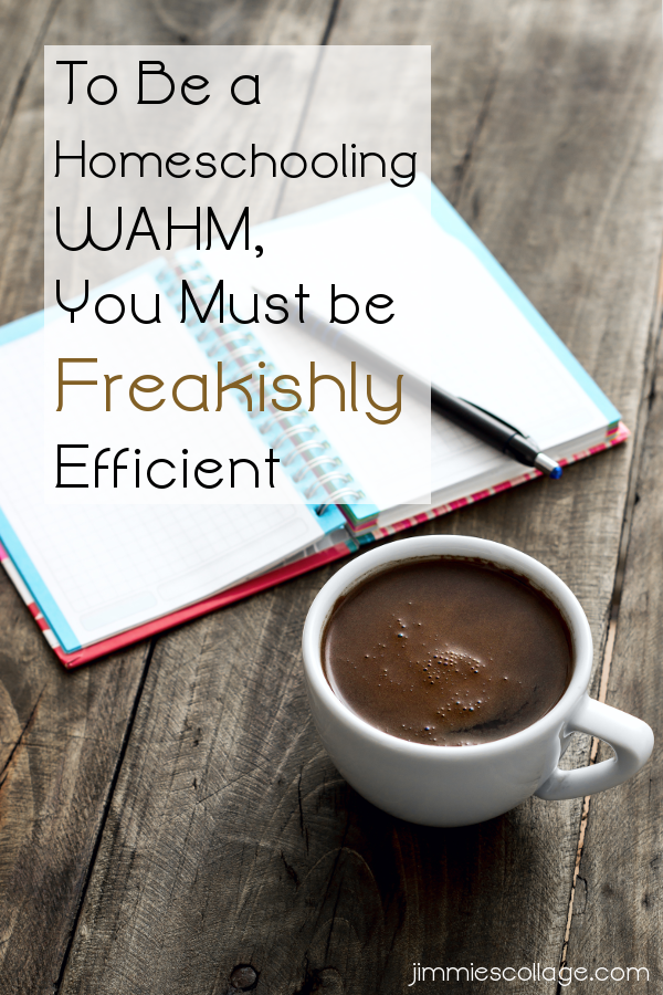 To Be a Homeschooling WAHM, You Must be Freakishly Efficient