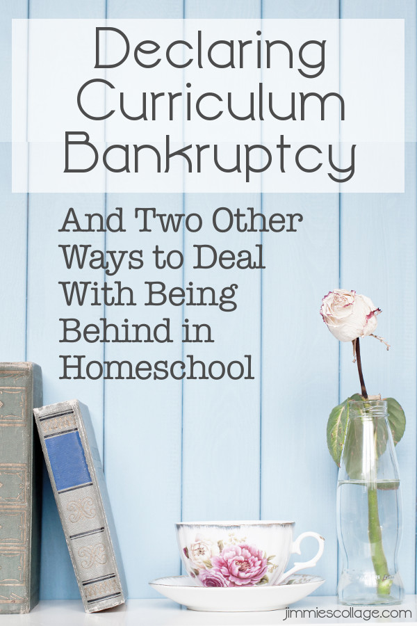 Declaring Curriculum Bankruptcy And Two Other Ways to Deal With Being Behind in Homeschool