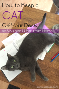 How to Keep a Cat Off Your Desk So You can Work from Home